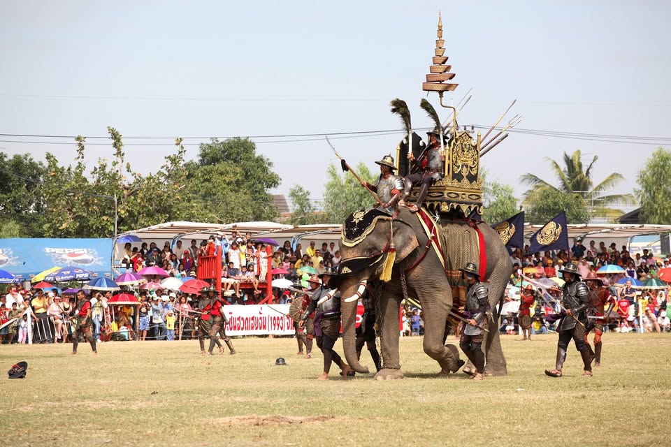 Surin Elephant Festival